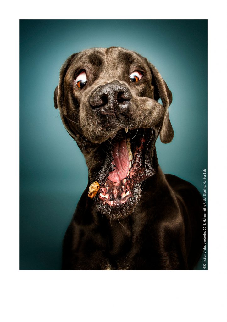 Treats ©Christian Vieler on FineArt Baryta