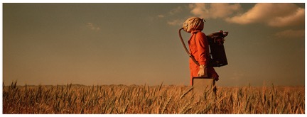 ©Samual Davis Vasily