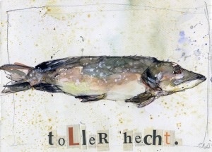 ©Sven Breuer - Toller Hecht