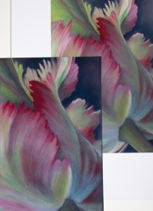©Karin Kuthe art reproduction on Hahnemühle paper